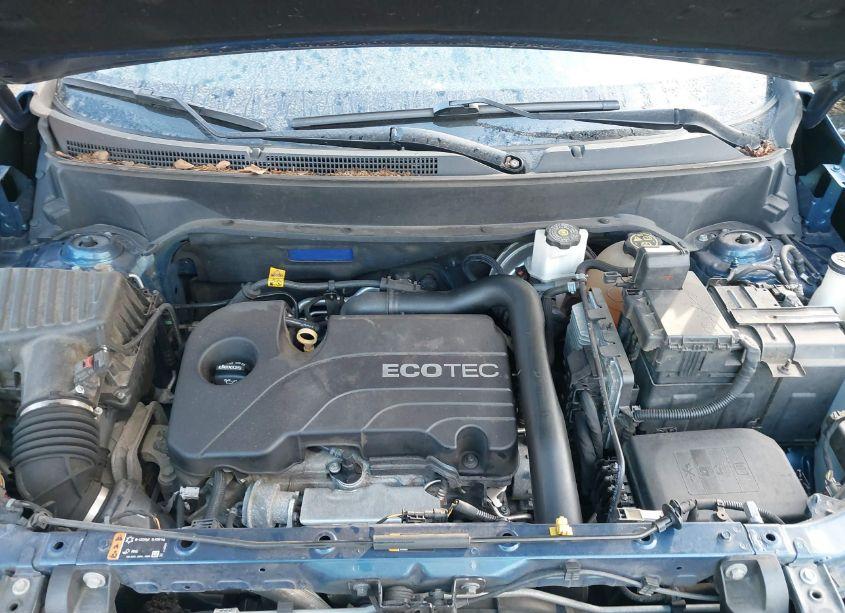 Photo 10 of 2019 Chevrolet Equinox LT (VIN 2GNAXKEVXK6993573)