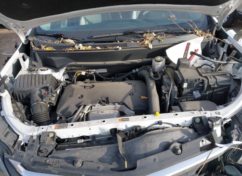 Photo 10 of 2019 Chevrolet Equinox PREMIER (VIN 2GNAXPEX9K6233181)