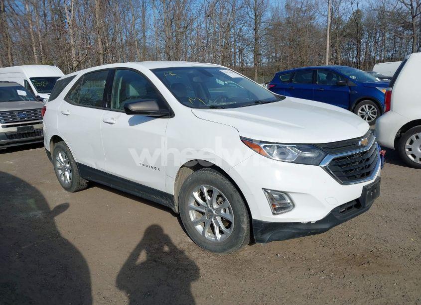2019 Chevrolet Equinox LS (VIN 2GNAXSEV0K6147310) main photo