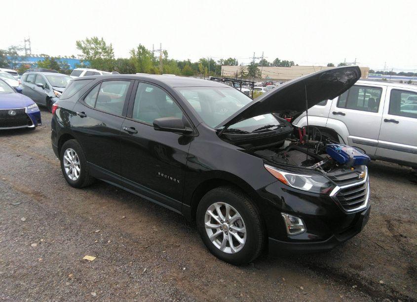 2019 Chevrolet Equinox LS (VIN 2GNAXSEV0K6255183) main photo