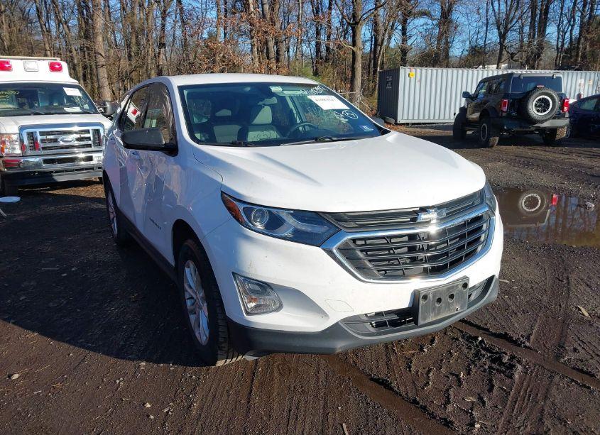 2019 Chevrolet Equinox LS (VIN 2GNAXSEV1K6210737) main photo