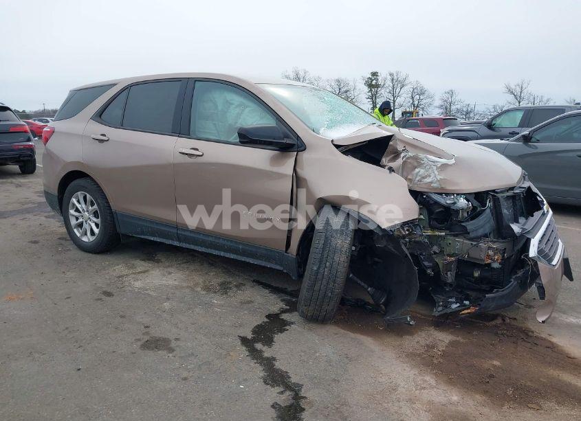 2019 Chevrolet Equinox LS (VIN 2GNAXSEV1K6300566) main photo