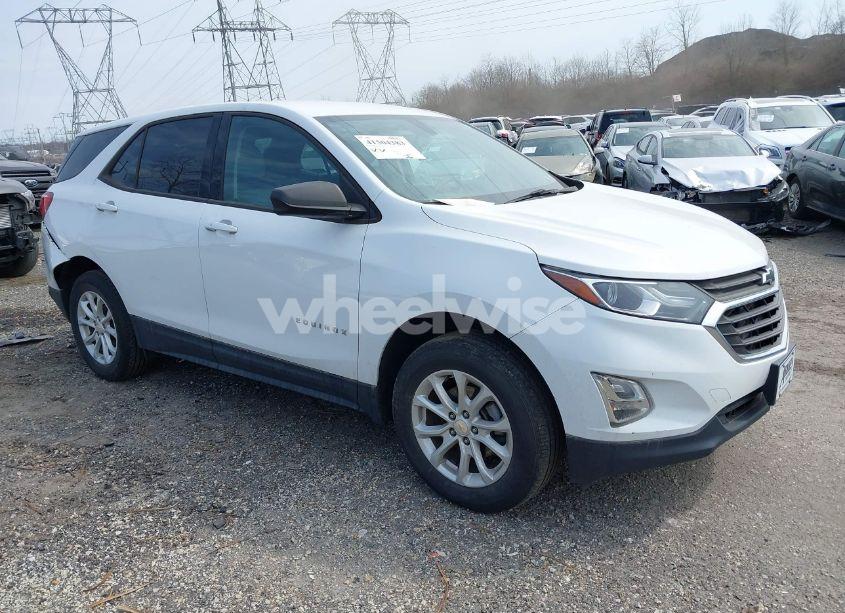 2019 Chevrolet Equinox LS (VIN 2GNAXSEV3K6215731) main photo