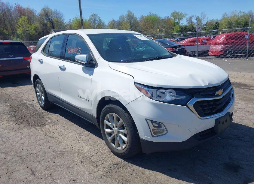 2019 Chevrolet Equinox LS (VIN 2GNAXSEV4K6110423) main photo