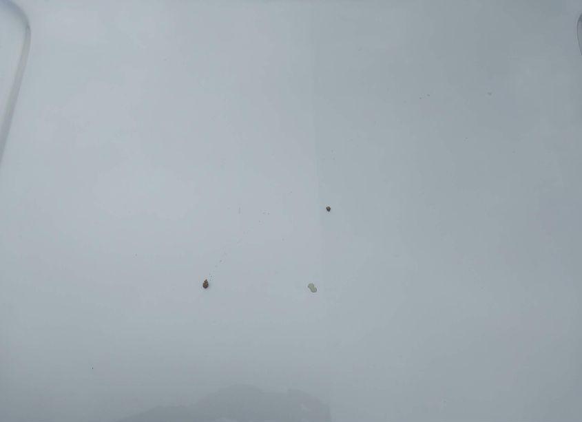 Photo 10 of 2018 Chevrolet Equinox LT (VIN 2GNAXSEV5J6190426)