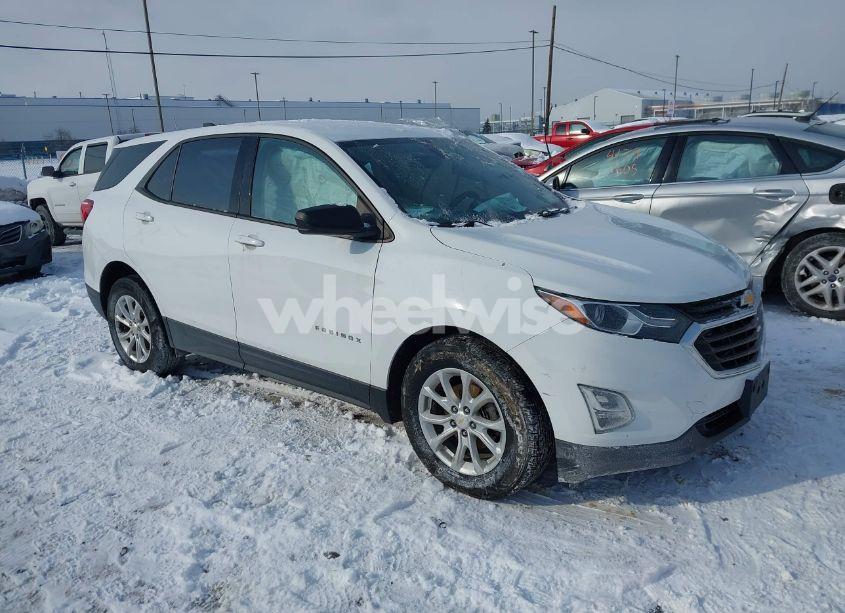 2019 Chevrolet Equinox LS (VIN 2GNAXSEV5K6161848) main photo