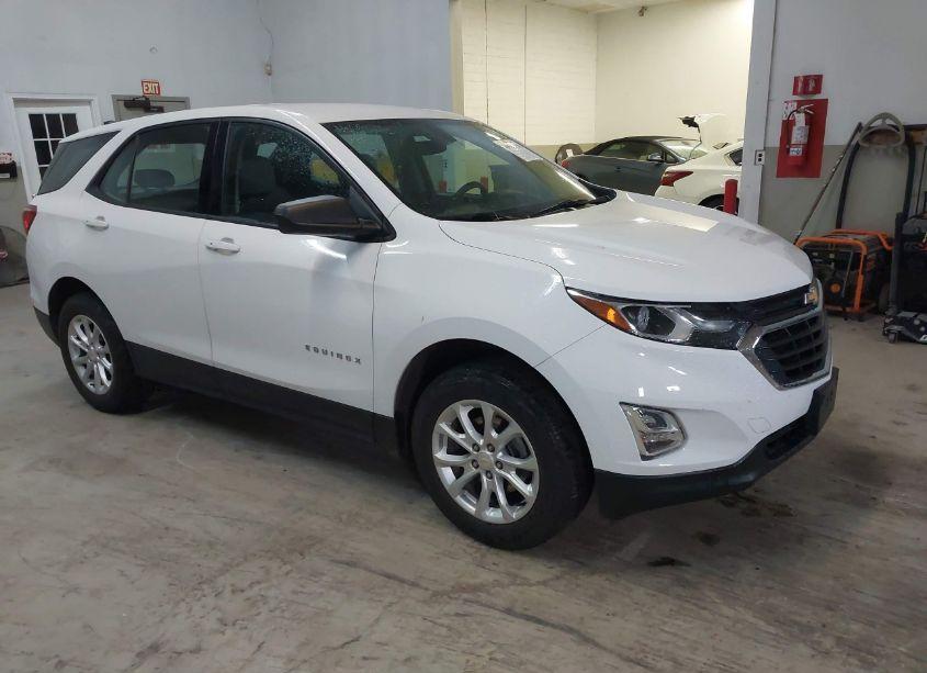 2019 Chevrolet Equinox LS (VIN 2GNAXSEV5K6289023) main photo