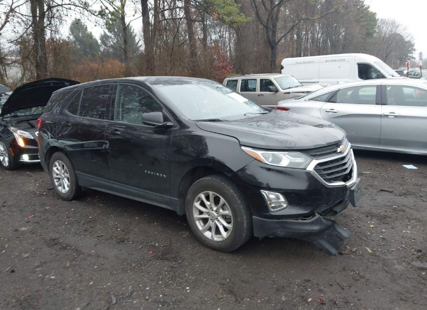2019 Chevrolet Equinox LS (VIN 2GNAXSEV7K6251387) main photo