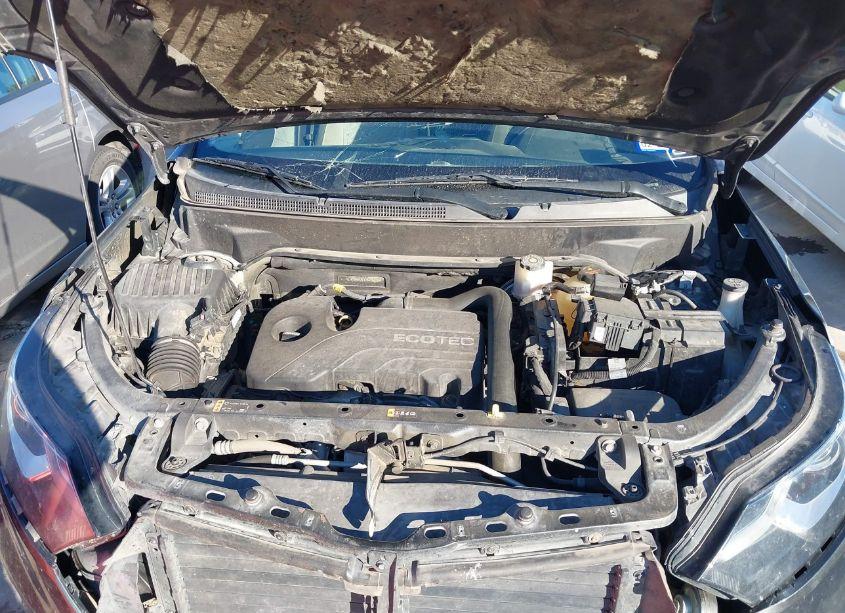 Photo 10 of 2019 Chevrolet Equinox LS (VIN 2GNAXSEV7K6268786)