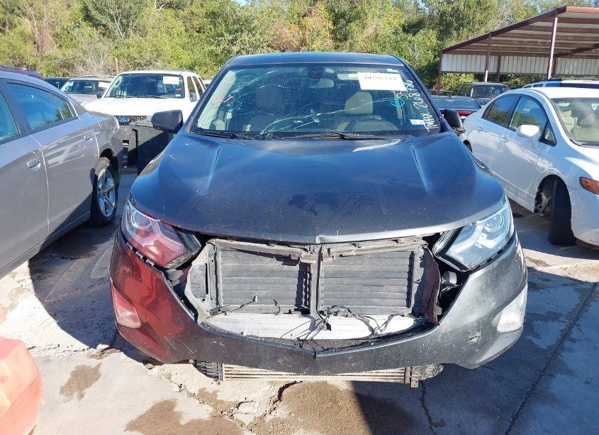 Photo 12 of 2019 Chevrolet Equinox LS (VIN 2GNAXSEV7K6268786)