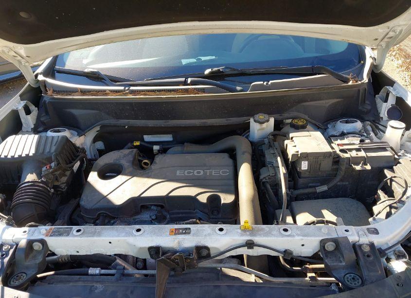 Photo 10 of 2019 Chevrolet Equinox LS (VIN 2GNAXSEV8K6194519)