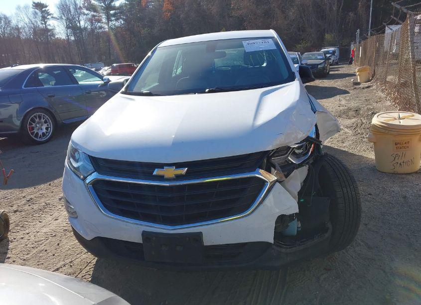 Photo 12 of 2019 Chevrolet Equinox LS (VIN 2GNAXSEV8K6194519)