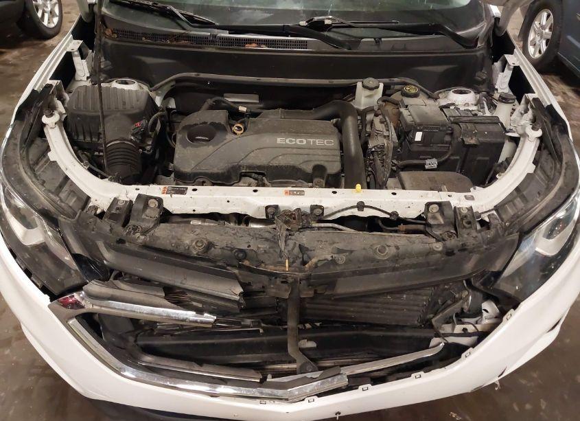 Photo 10 of 2018 Chevrolet Equinox LT (VIN 2GNAXSEVXJ6268716)