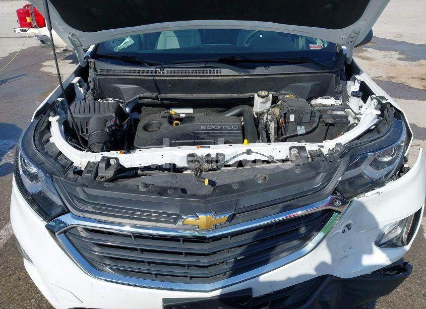 Photo 10 of 2019 Chevrolet Equinox LS (VIN 2GNAXSEVXK6279099)