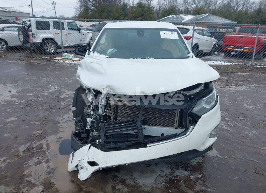 Photo 13 of 2019 Chevrolet Equinox LT (VIN 2GNAXTEV5K6190594)