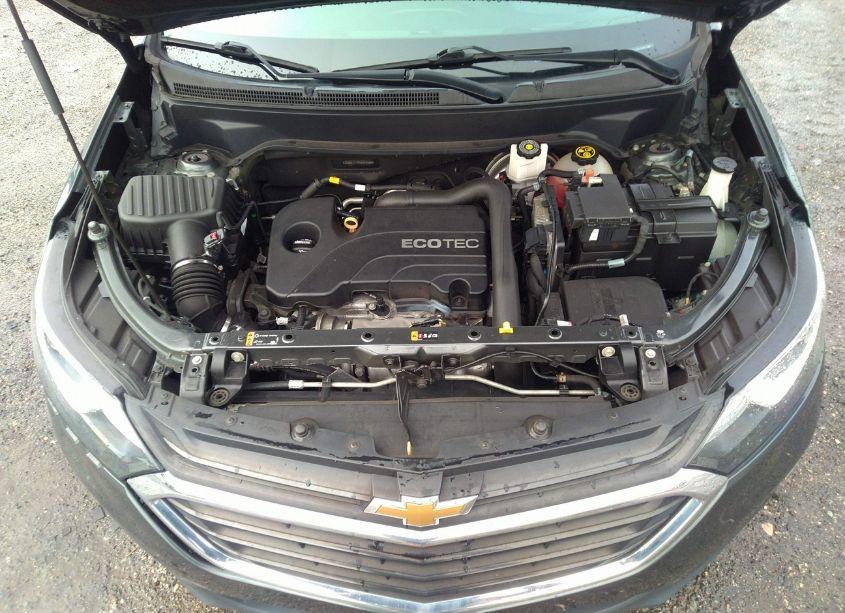 Photo 10 of 2019 Chevrolet Equinox LT (VIN 2GNAXTEV9K6242566)