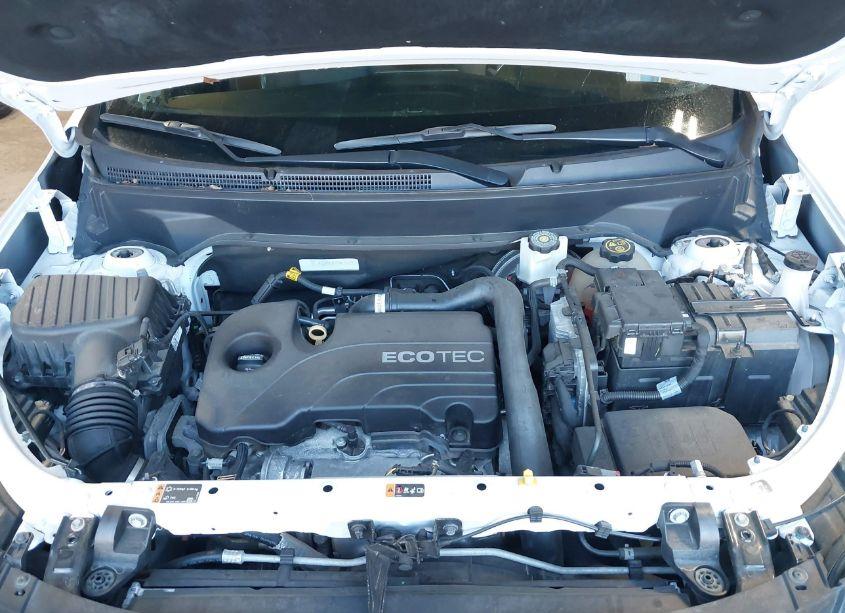 Photo 10 of 2019 Chevrolet Equinox LT (VIN 2GNAXUEV1K6123397)