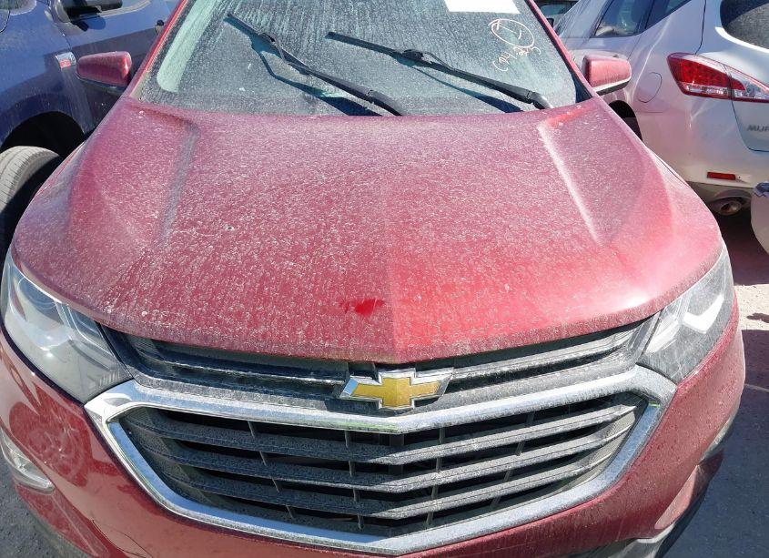 Photo 12 of 2019 Chevrolet Equinox LT (VIN 2GNAXUEV1K6227470)