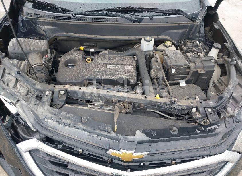 Photo 10 of 2019 Chevrolet Equinox LT (VIN 2GNAXUEV5K6174160)