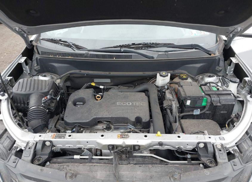 Photo 10 of 2019 Chevrolet Equinox LT (VIN 2GNAXUEV8K6182849)