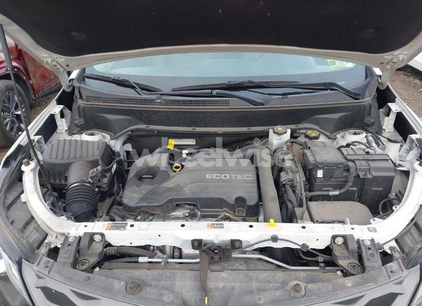 Photo 10 of 2019 Chevrolet Equinox LT (VIN 2GNAXUEV8K6207667)