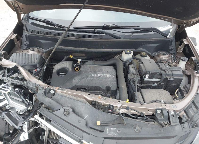 Photo 10 of 2019 Chevrolet Equinox LT (VIN 2GNAXUEV8K6240006)