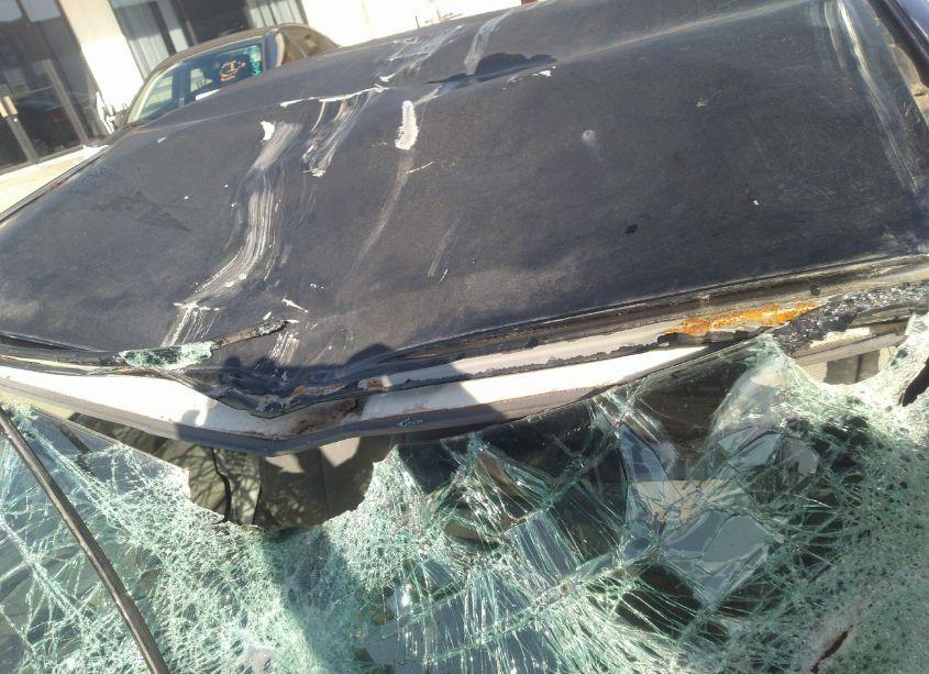 Photo 13 of 2009 Honda Civic LX (VIN 2HGFA16589H363916)