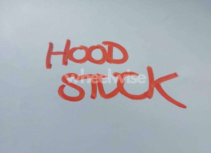 Photo 10 of 2010 Honda Civic EX (VIN 2HGFA1F81AH502492)