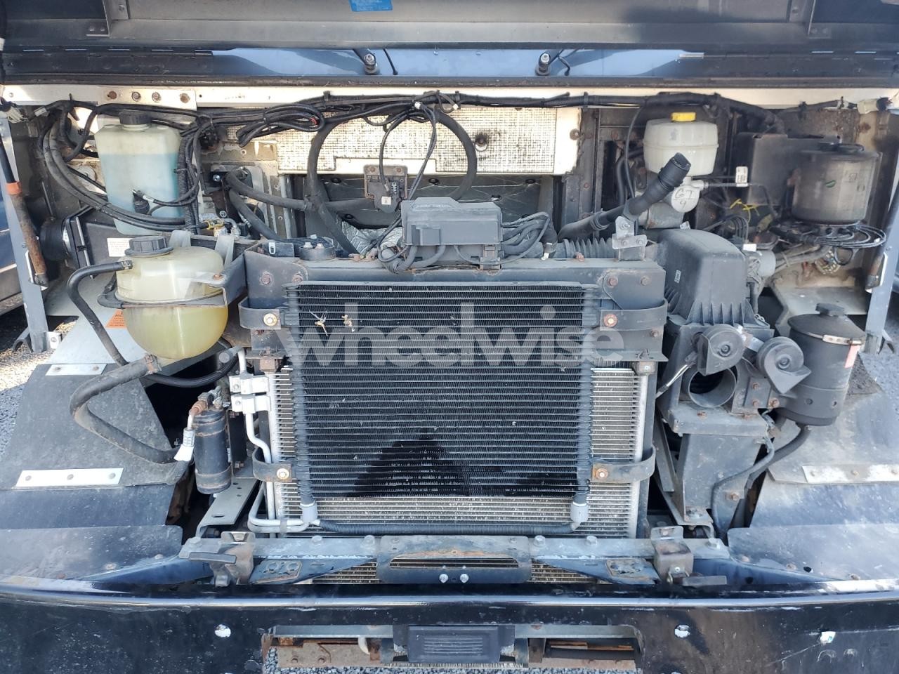 Photo 12 of 2020 FORD F59 (VIN 2HGFB2E51DH015629)