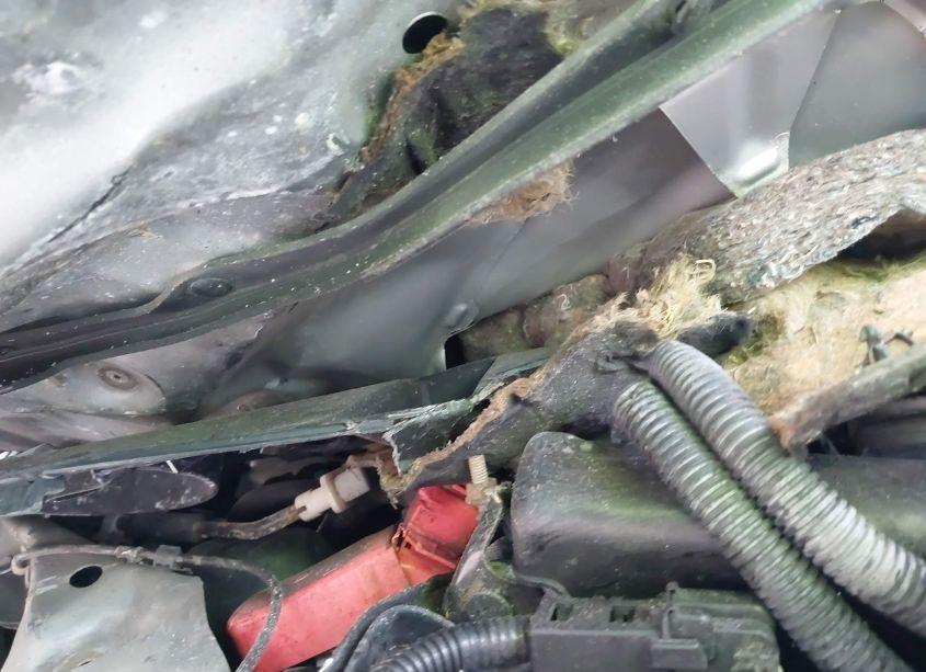 Photo 10 of 2014 Honda Civic LX (VIN 2HGFB2F53EH542751)