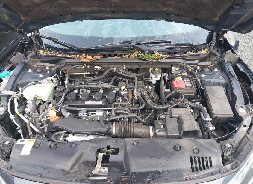 Photo 10 of 2017 Honda Civic EX-T (VIN 2HGFC1F37HH658951)