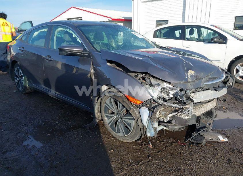 2017 Honda Civic EX-L (VIN 2HGFC1F70HH631268) main photo