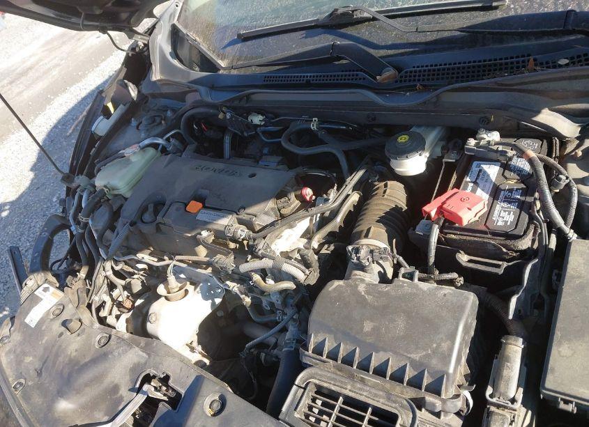 Photo 10 of 2017 Honda Civic LX (VIN 2HGFC2F55HH538928)