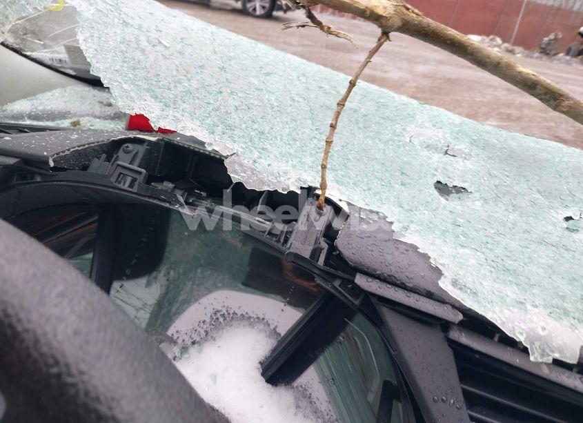 Photo 7 of 2019 Honda Civic LX (VIN 2HGFC2F68KH545422)