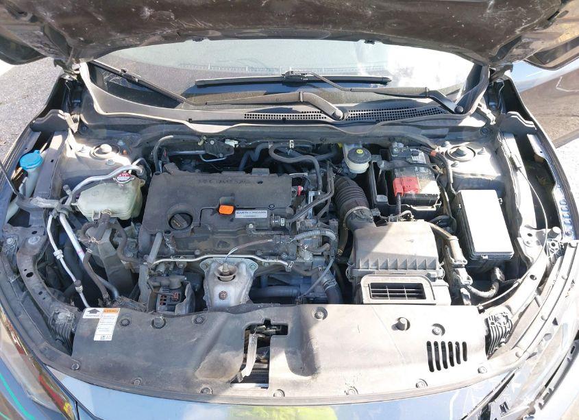 Photo 10 of 2019 Honda Civic LX (VIN 2HGFC2F69KH545008)