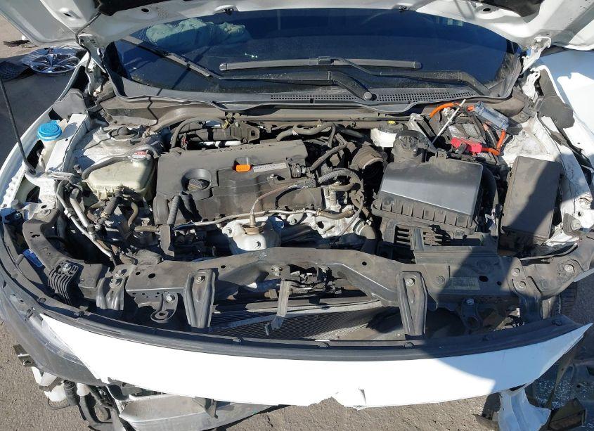 Photo 10 of 2020 Honda Civic LX (VIN 2HGFC2F69LH513130)