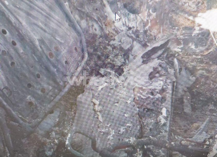 Photo 11 of 2019 Honda Civic SPORT (VIN 2HGFC2F85KH583482)