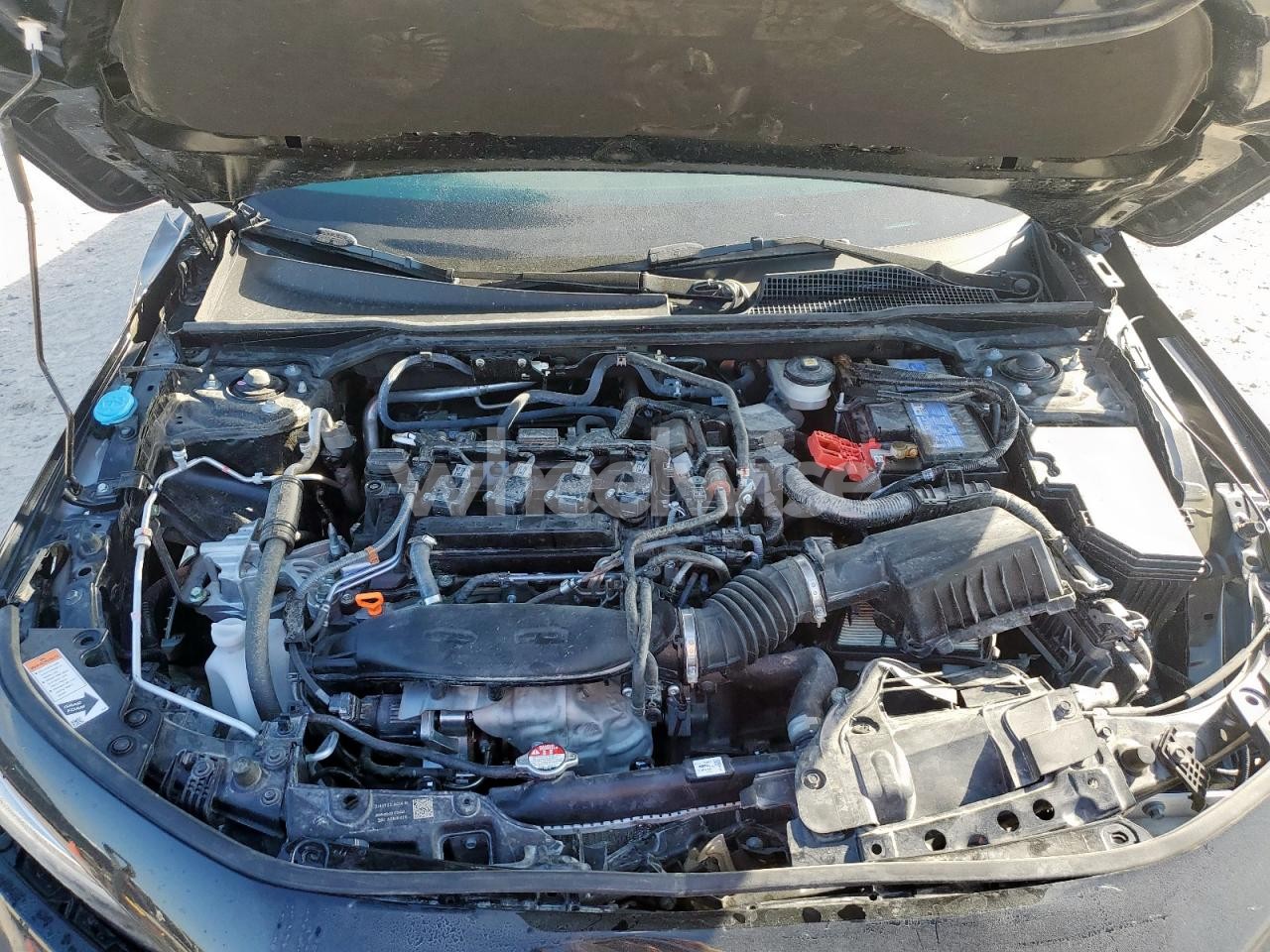 Photo 11 of 2025 HONDA CIVIC SI (VIN 2HGFE1E51SH478224)