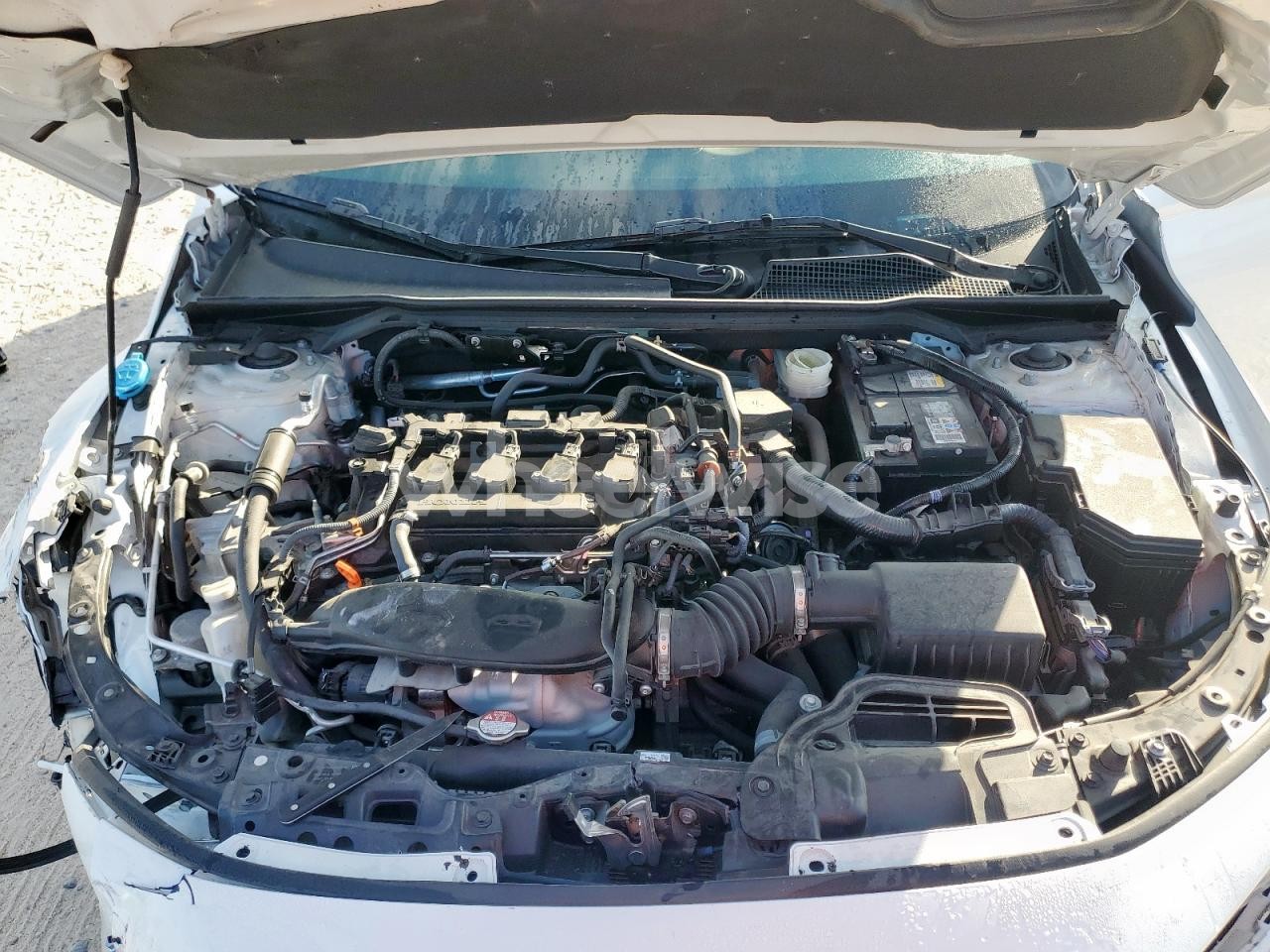 Photo 11 of 2024 HONDA CIVIC EX (VIN 2HGFE1F7XRH309135)