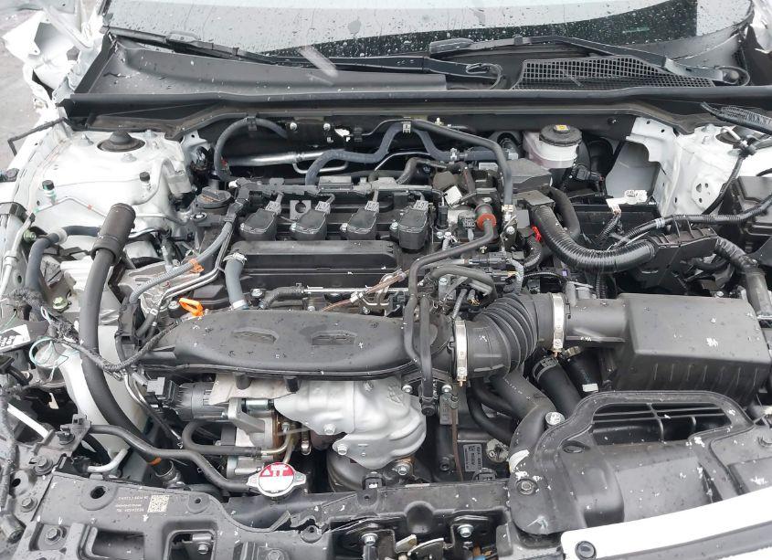 Photo 10 of 2024 Honda Civic TOURING (VIN 2HGFE1F90RH326415)