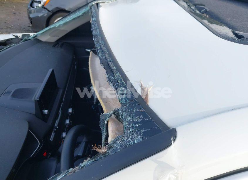 Photo 20 of 2024 Honda Civic TOURING (VIN 2HGFE1F95RH317726)