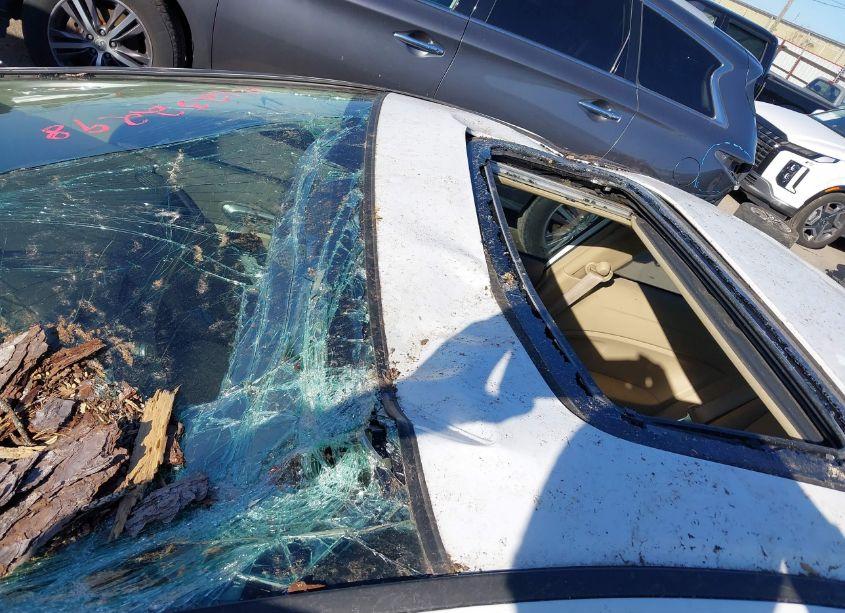 Photo 12 of 2007 Honda Civic EX (VIN 2HGFG12877H541357)