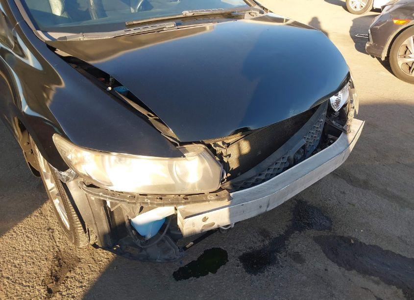 Photo 6 of 2010 Honda Civic EX-L (VIN 2HGFG1B91AH503882)