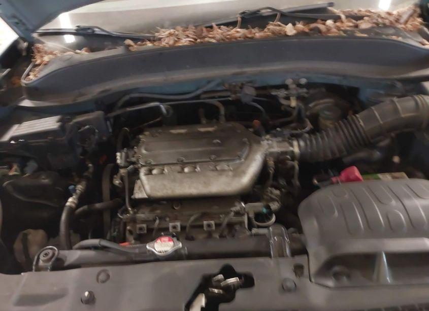 Photo 10 of 2006 Honda Ridgeline RT (VIN 2HJYK16256H575478)