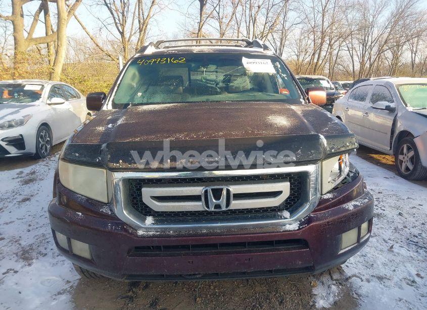 Photo 12 of 2009 Honda Ridgeline RTL (VIN 2HJYK16509H000803)