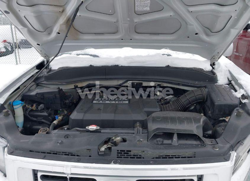 Photo 10 of 2006 Honda Ridgeline RTL (VIN 2HJYK16526H516866)