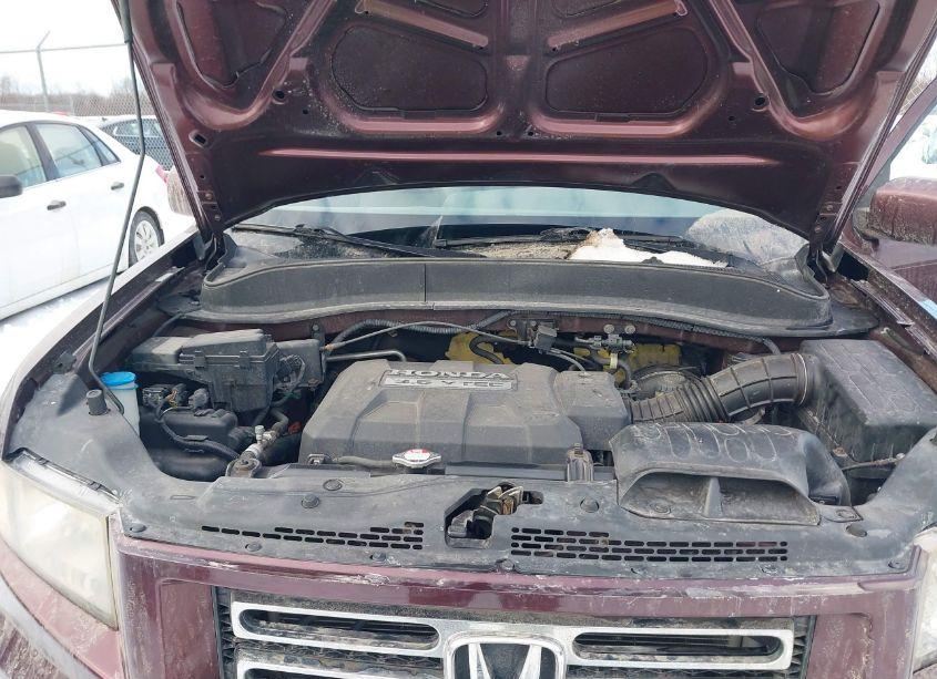 Photo 10 of 2008 Honda Ridgeline RTL (VIN 2HJYK16568H510555)