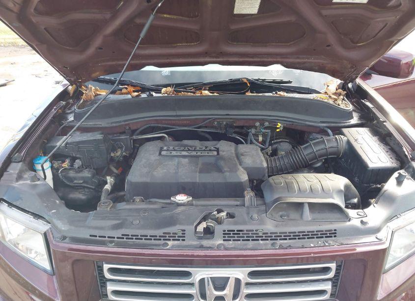 Photo 10 of 2007 Honda Ridgeline RTL (VIN 2HJYK16597H543869)