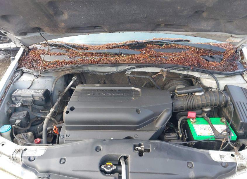 Photo 10 of 2002 Honda Odyssey EX-L (VIN 2HKRL18002H566366)