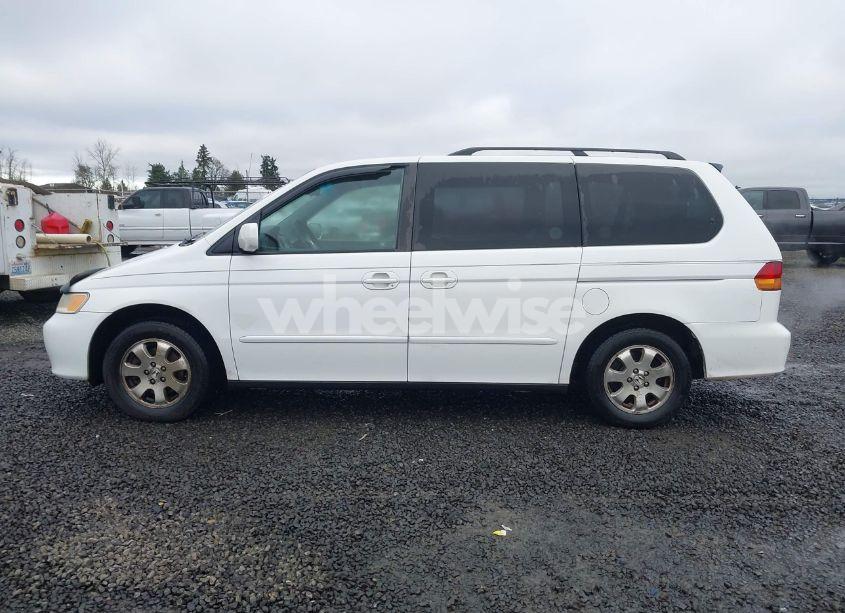 Photo 14 of 2002 Honda Odyssey EX-L (VIN 2HKRL18942H523437)